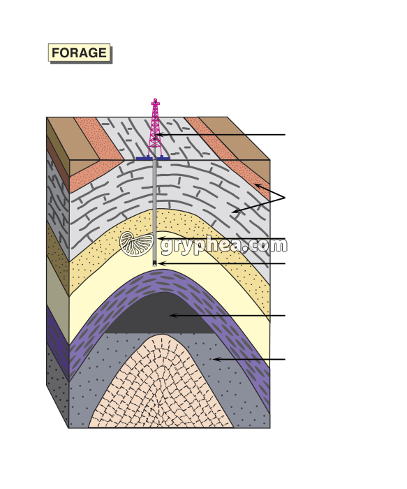 Forage pétrolier - sans légendes - infographie - gryphea.com